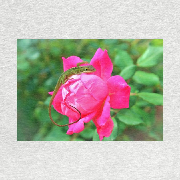 Baby Anole On Pink Rose by Cynthia48